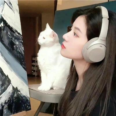 暗影王者